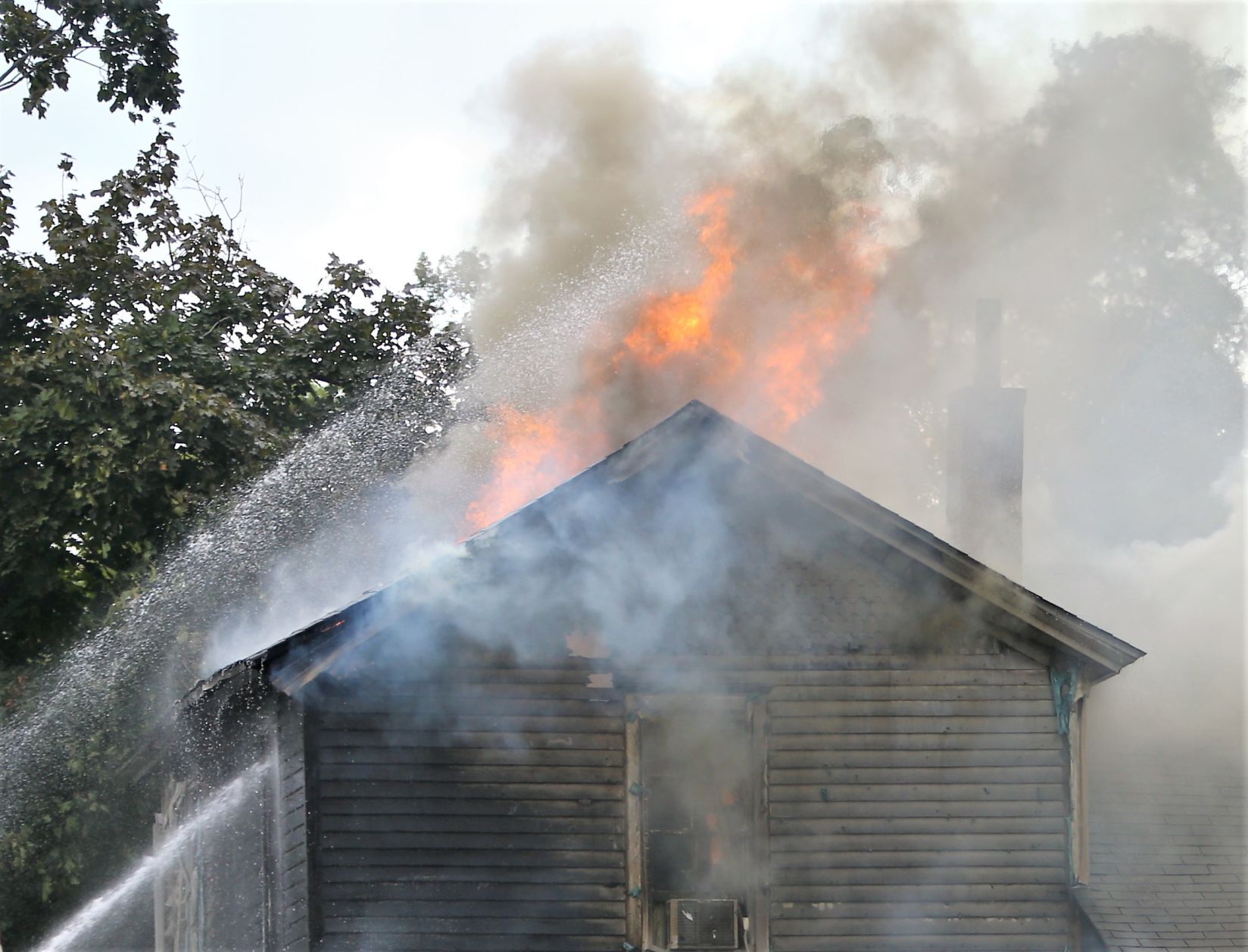 Buffalo fire 6